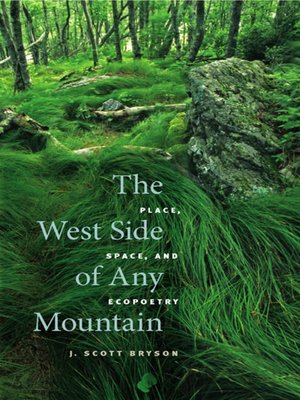cover image of The West Side of Any Mountain